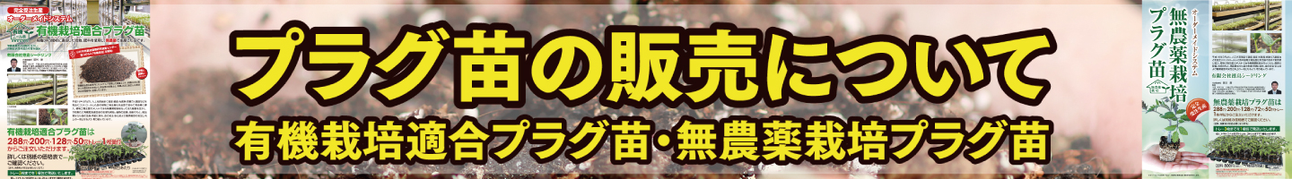 プラグ苗2026